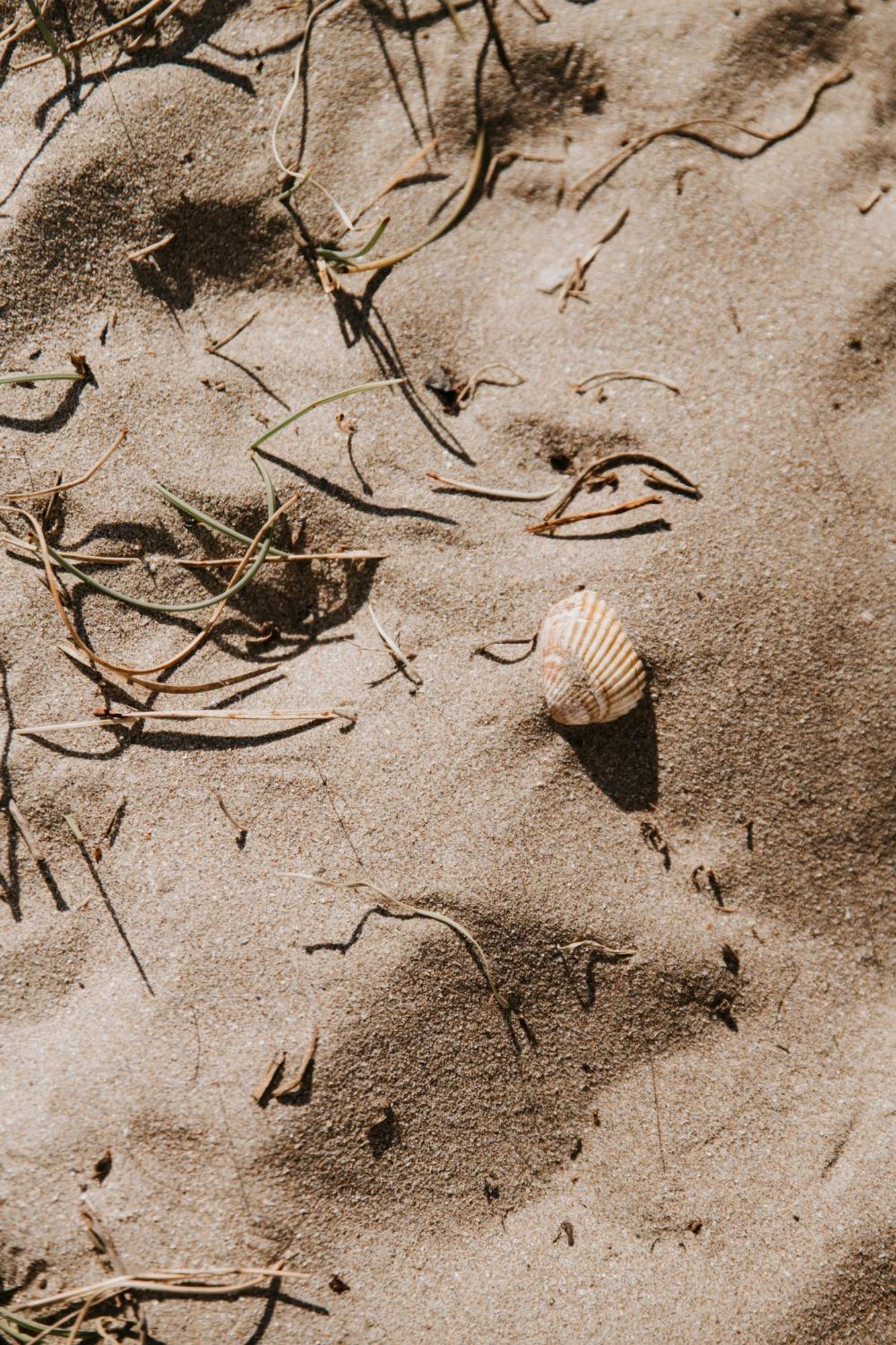 Mas Andalou Fabuleuse Premiere Ligne De Mer, Plage Privative Frontignan Zewnętrze zdjęcie